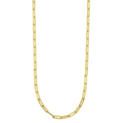 Charles Garnier Charles Garnier Sterling Silver Necklace Made With Paperclip Chain (5mm) Measures 36'' Long 18K Yellow Gold Finish