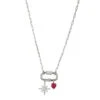 Charles Garnier Charles Garnier Sterling Silver Necklace Made With Paperclip Chain (2mm) And Carabiner With 2 Charms